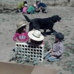 Clover Creek Sagebrush Planting